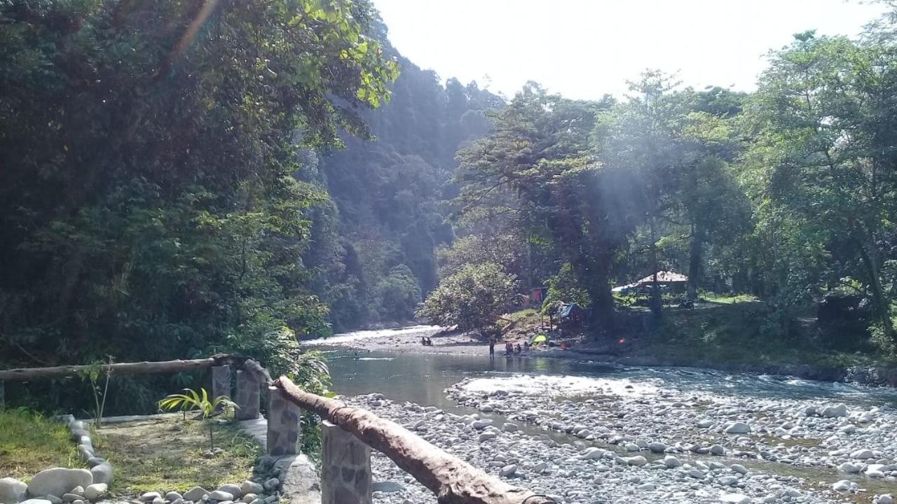בוקיט לוואנג Rambai Tree Jungle Lodges מראה חיצוני תמונה